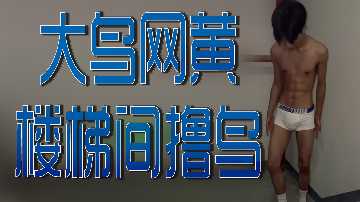 大鸟网黄楼梯间撸鸟